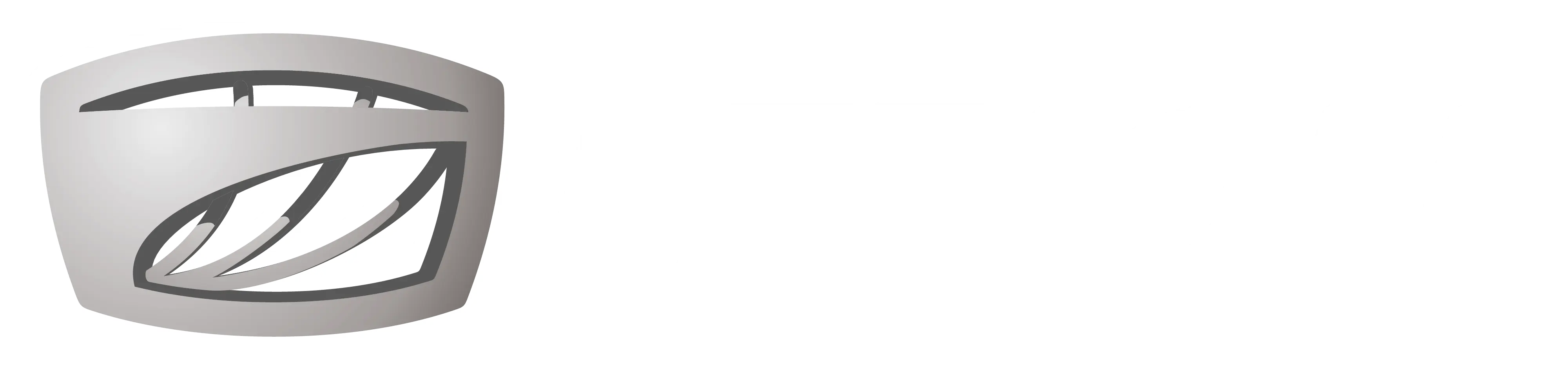 Ferioli S.A.